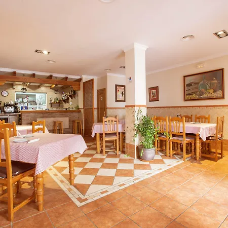 El Gallo Marbella