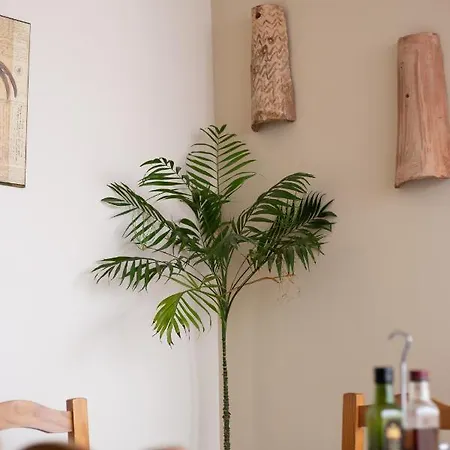 Хостел El Gallo Марбелья