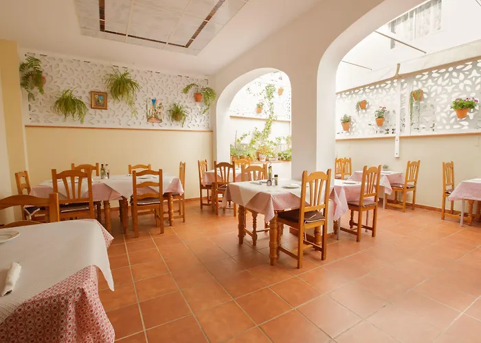 Hostel El Gallo