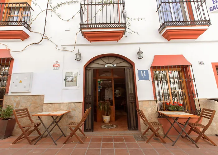 El Gallo Hostel