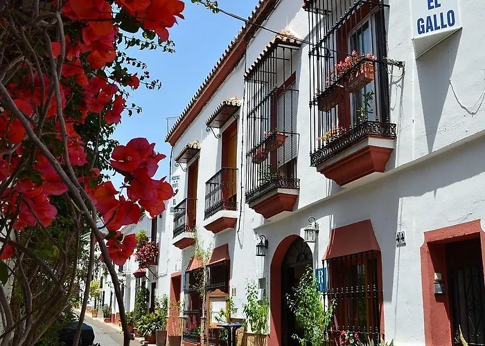 Hostel El Gallo Μαρμπέλλα