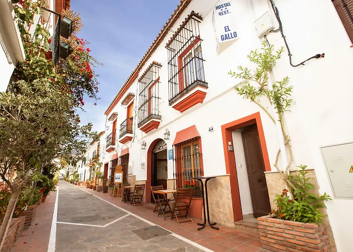 Hostel El Gallo Μαρμπέλλα
