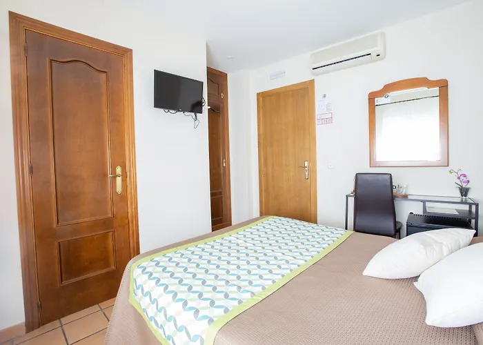 Hostel El Gallo *