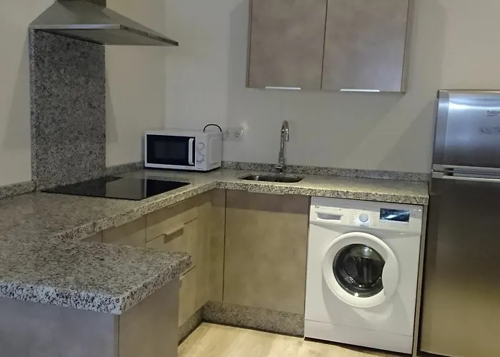 El Gallo بيت شباب