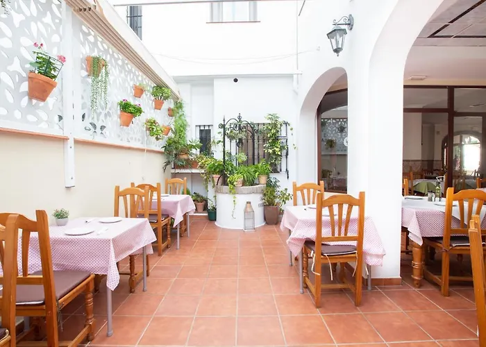 El Gallo Hostel *