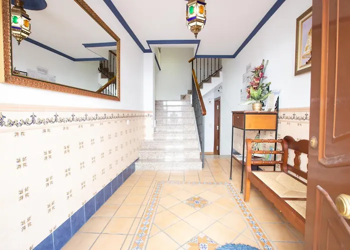 El Gallo بيت شباب