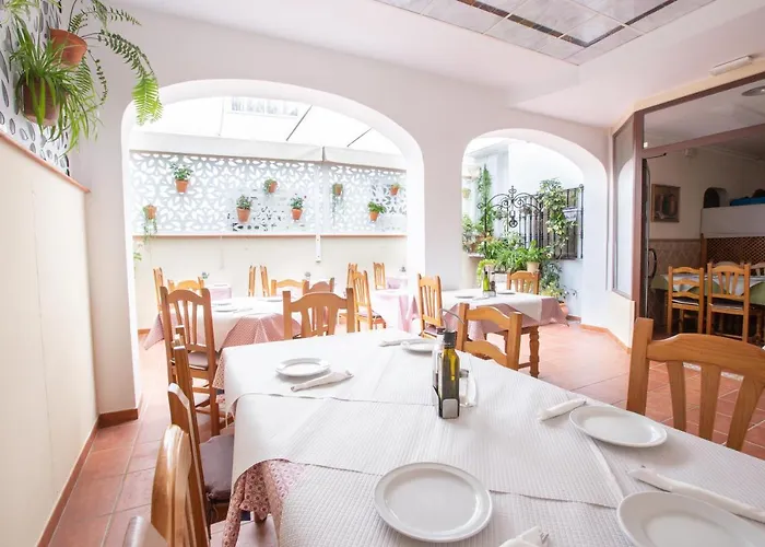 El Gallo Hostel Μαρμπέλλα