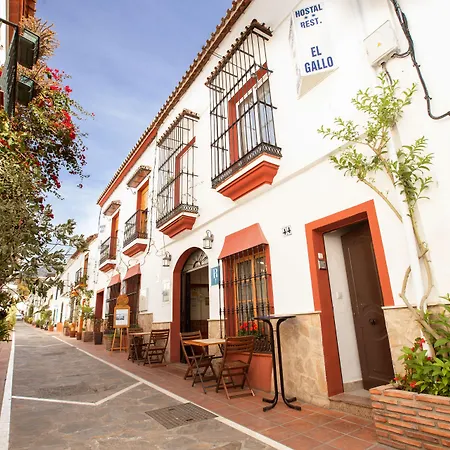 Hostel El Gallo Marbella