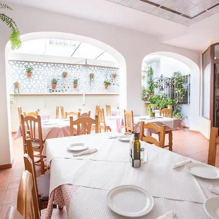 El Gallo Hostel Marbella