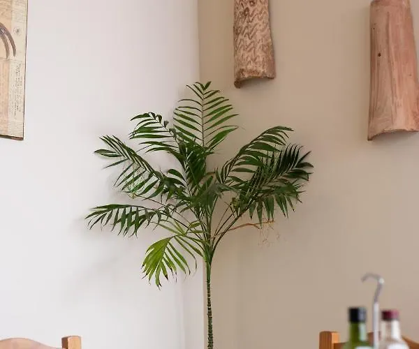 Hostel El Gallo Marbella